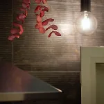 Plebiscito House - *